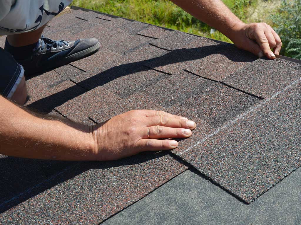 Staghead Roofing team