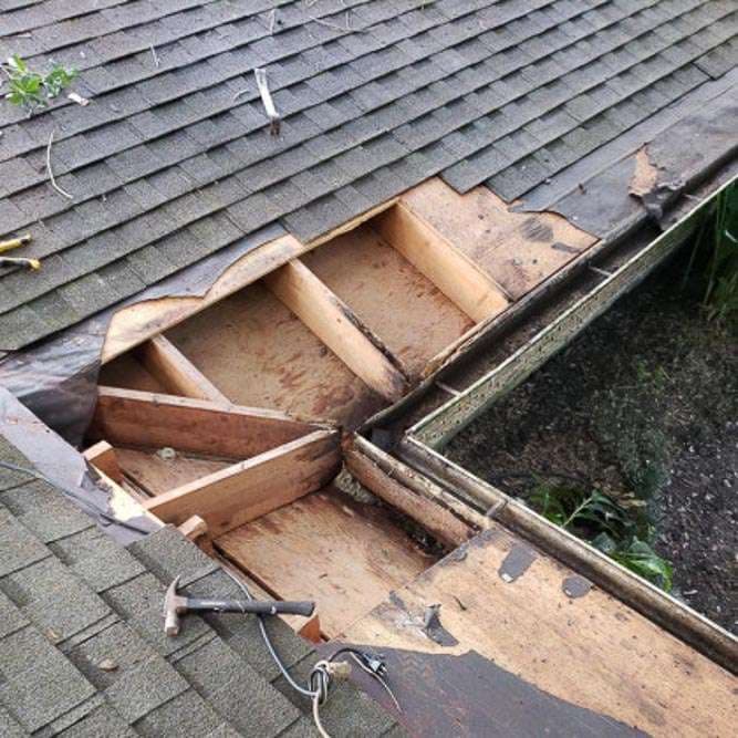 Insurance claims project 1