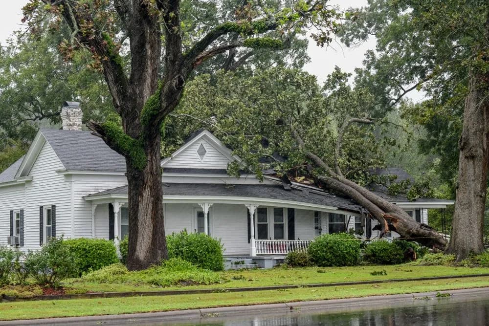 Professional roofer assessing storm damage for insurance claim