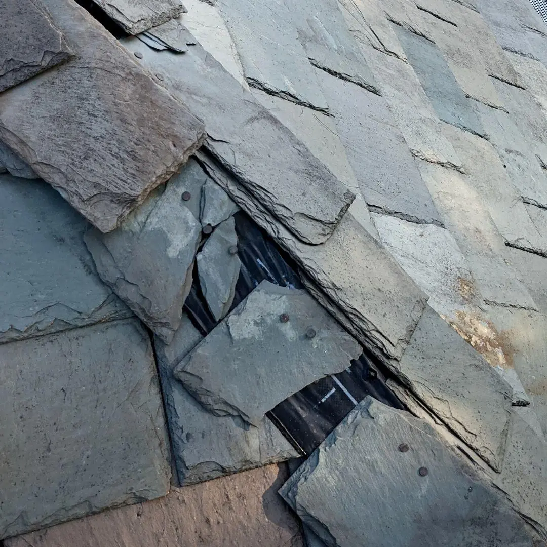 Roof maintenance project 3